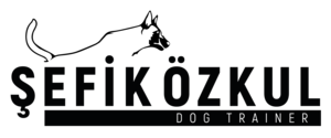 sefikozkul.com.tr